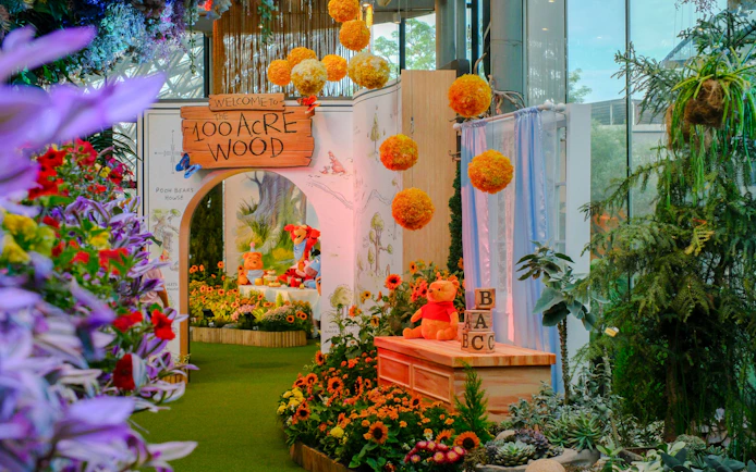 Disney Garden of Wonder with Winnie the Pooh theme, featuring colorful flowers and character displays.