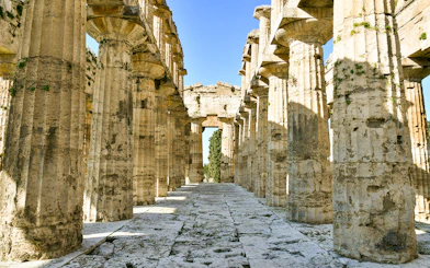 Ancient stone columns in the Archaeological Park of Paestum, Italy.