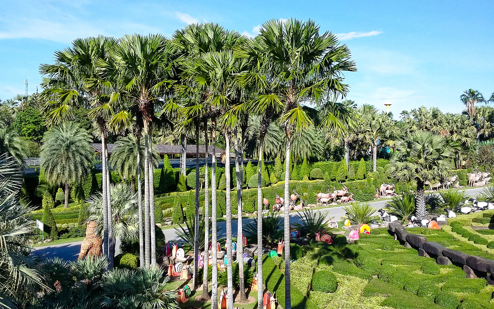 Tropical palm trees and manicured hedges at Nong Nooch Tropical Garden, Thailand.