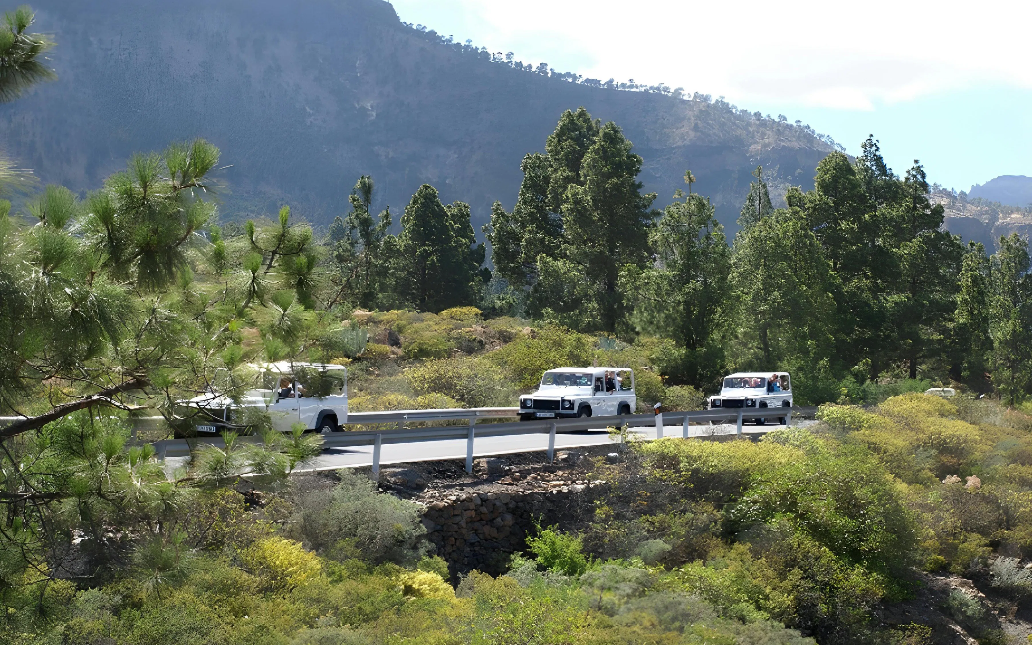 White 4x4 vehicles on a narrow bridge during Gran Canaria Jeep Safari.