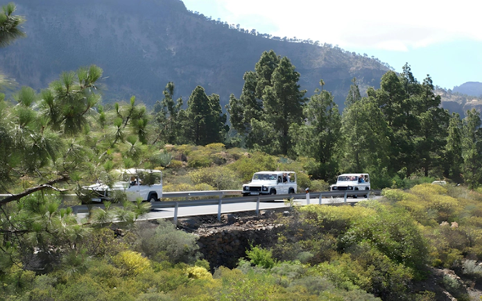 White 4x4 vehicles on a narrow bridge during Gran Canaria Jeep Safari.
