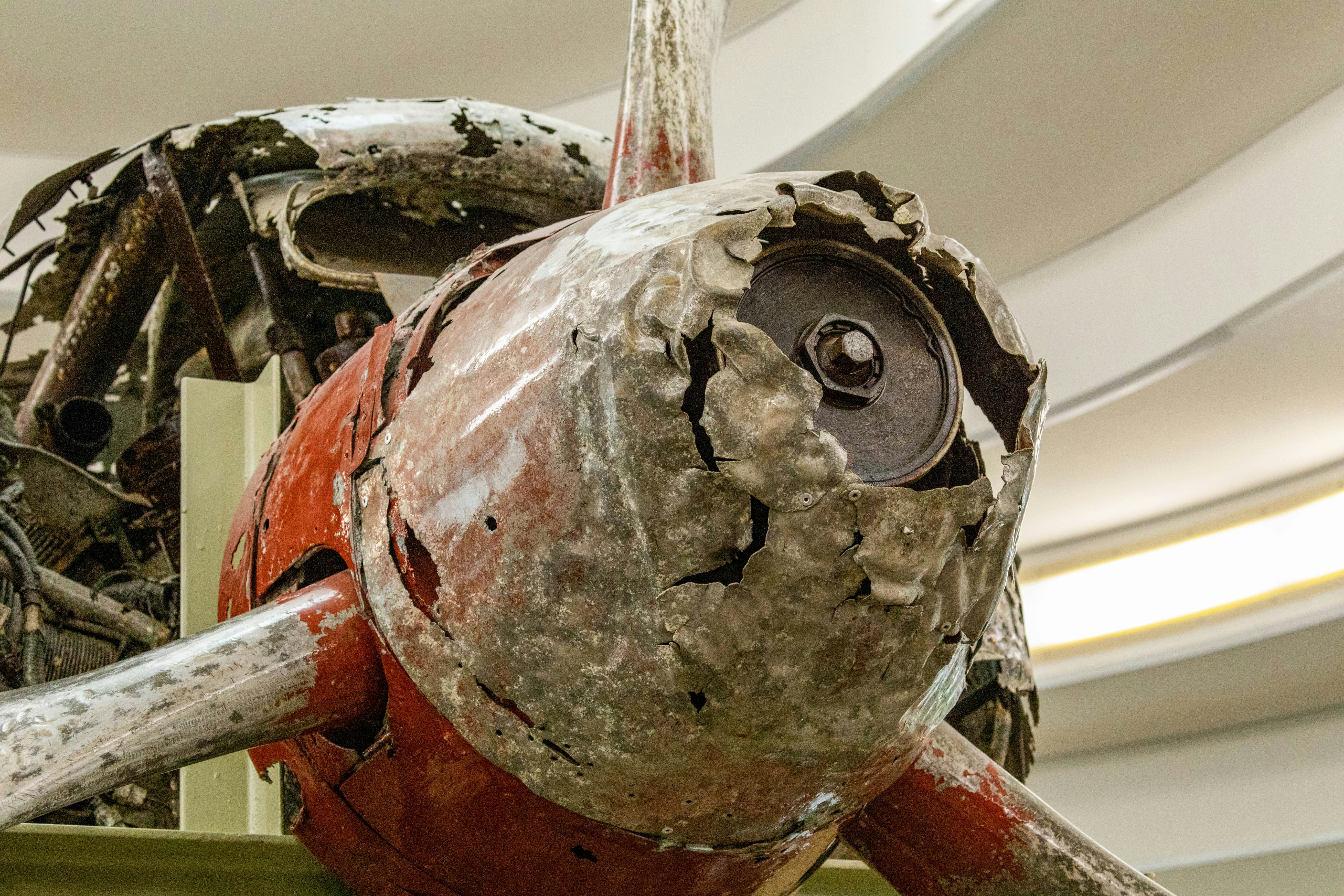 World war 2 artifact in American Museum of Natural History