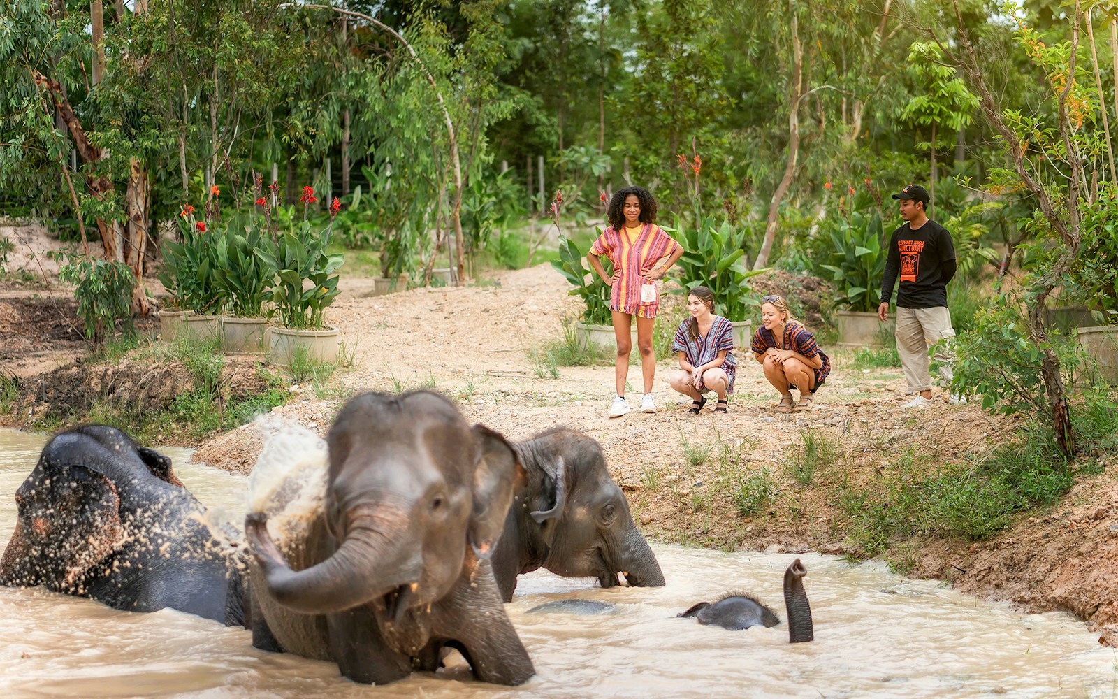 Tourists observing elephants bathing in a river at a wildlife sanctuary.