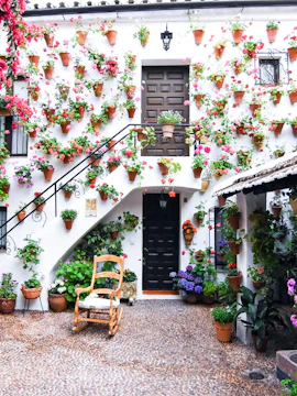 Courtyard with flower pots on white walls in Patios de Córdoba.