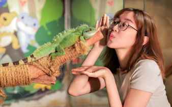 Person interacting with a green iguana at Just Farm Indoor Zoo Kuala Lumpur.