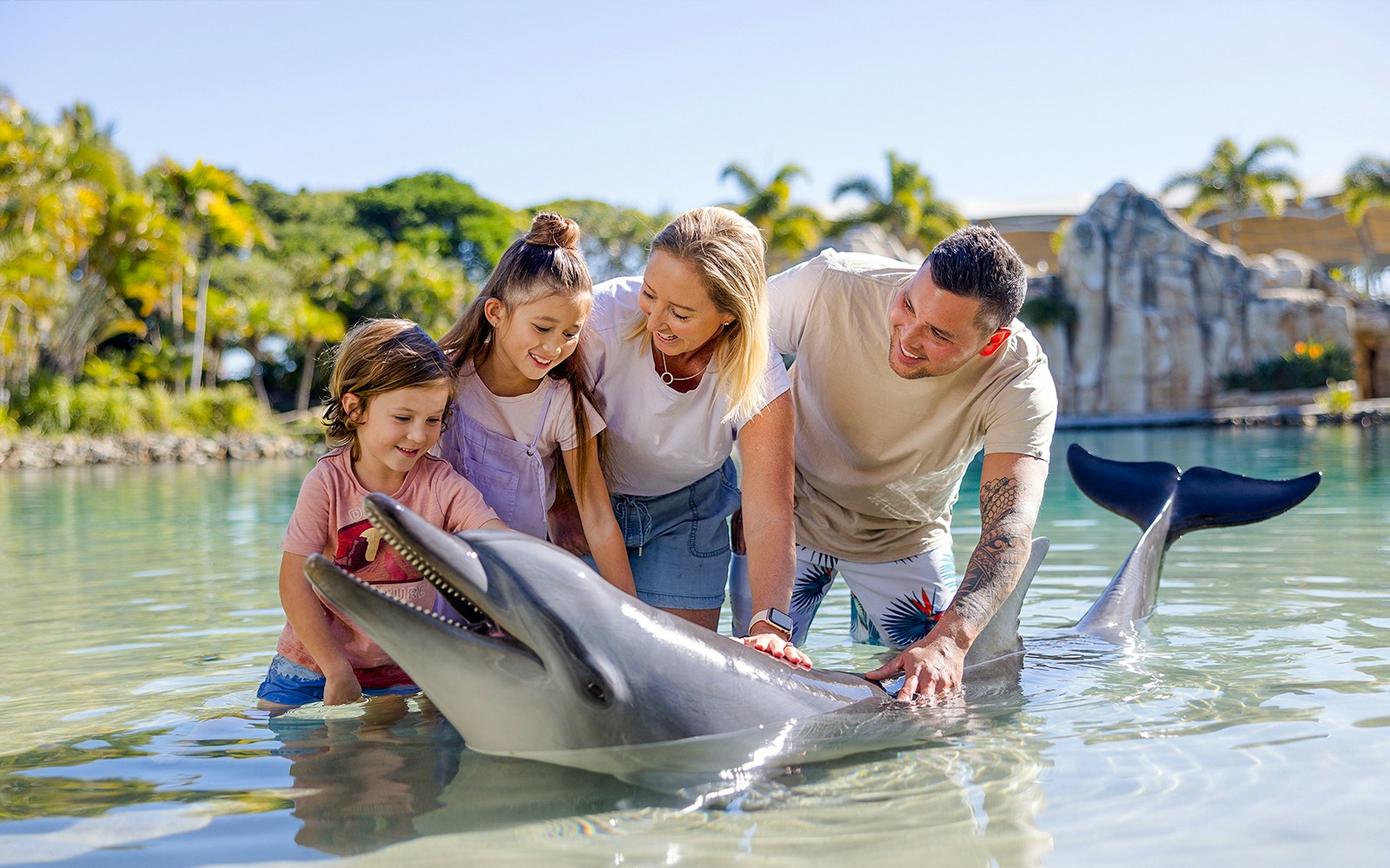 A family petting Dolphin at Sea World, Gold Coast