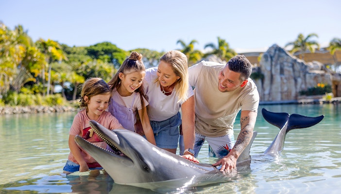 A family petting Dolphin at Sea World, Gold Coast