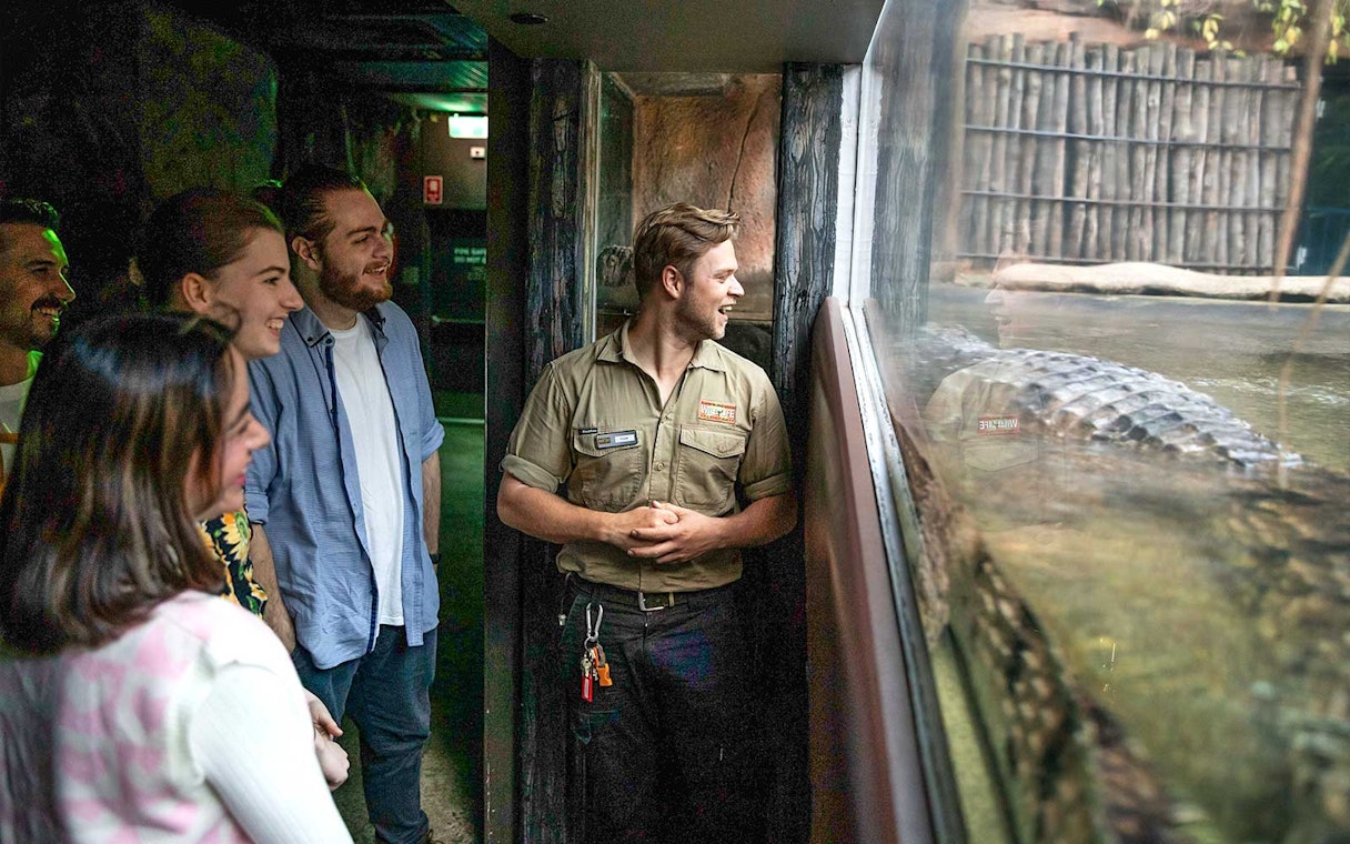 Group observing crocodile at WILD LIFE Sydney Zoo.