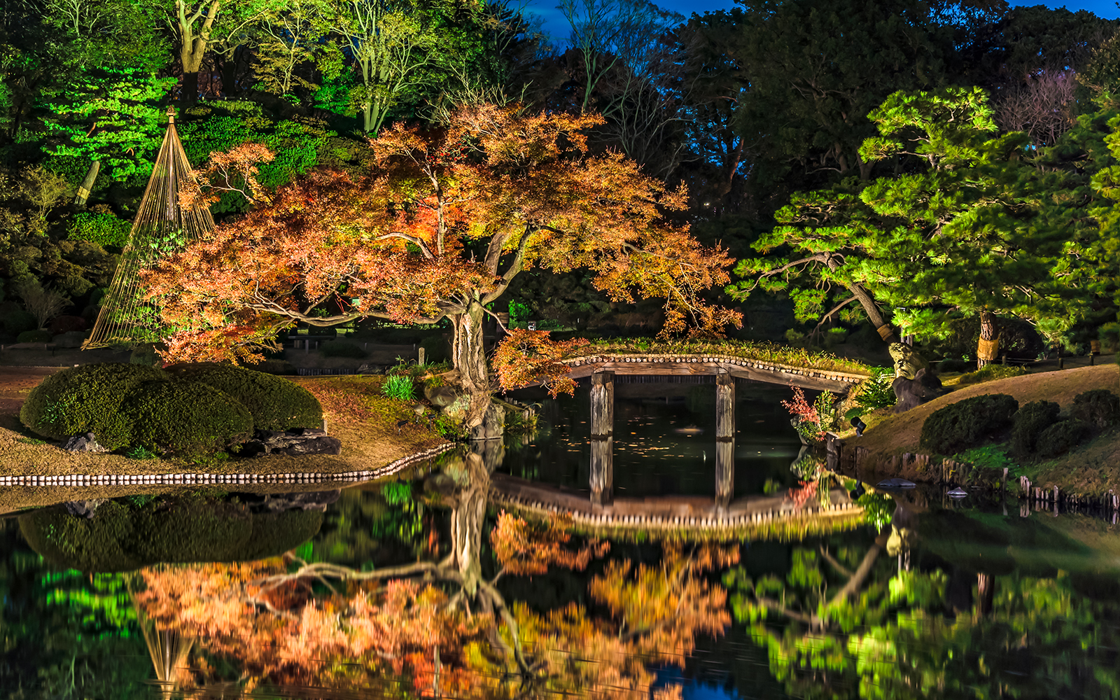 Rikugien Garden’s early foliage displays