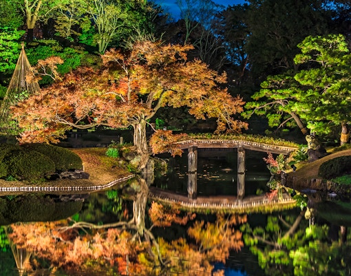 Rikugien Garden at night