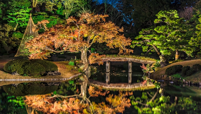Rikugien Garden’s early foliage displays