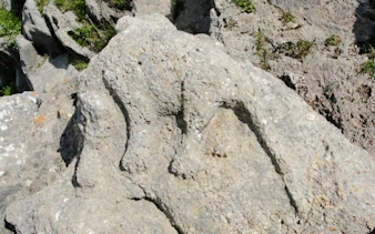 from cusco: puma orqo and maukallaqta archaeological tour-5
