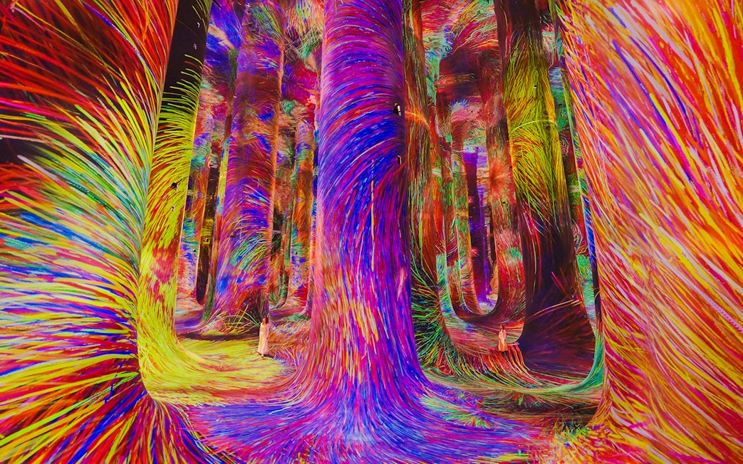 Immersive digital art installation with vibrant colors at Team Lab Abu Dhabi.