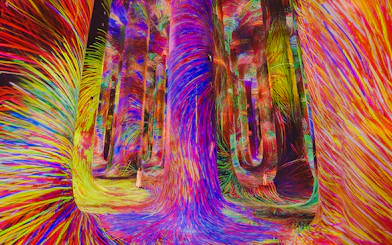 Immersive digital art installation with vibrant colors at Team Lab Abu Dhabi.