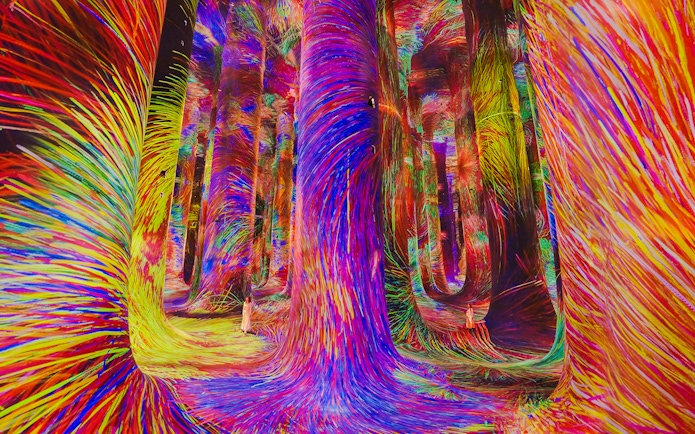 Immersive digital art installation with vibrant colors at Team Lab Abu Dhabi.