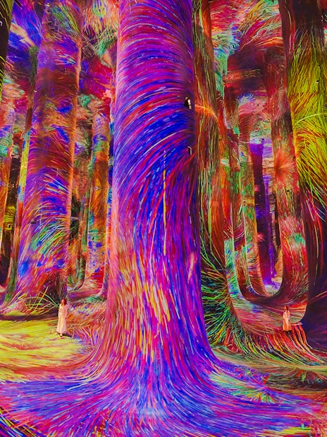 Immersive digital art installation with vibrant colors at Team Lab Abu Dhabi.