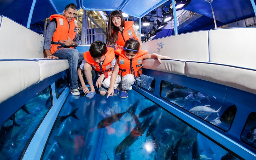 Children observing fish through a glass-bottomed boat at Dubai Aquarium and Underwater Zoo.