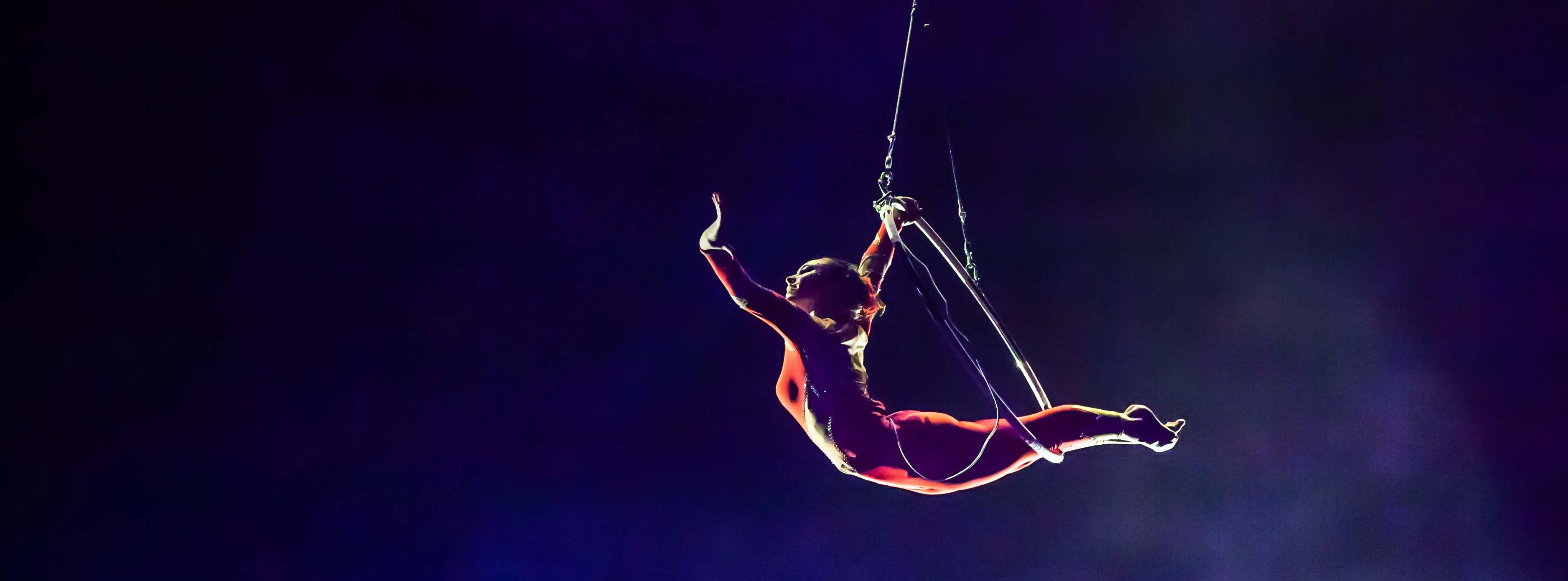 https://cdn-imgix.headout.com/media/images/2560e6da49f840a24db6f9dc4558852f-Circus.jpg