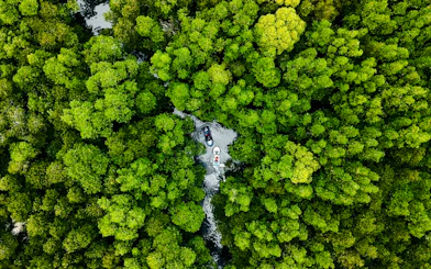 Langkawi Kilim Geoforest Park Mangrove Tour with Snorkeling