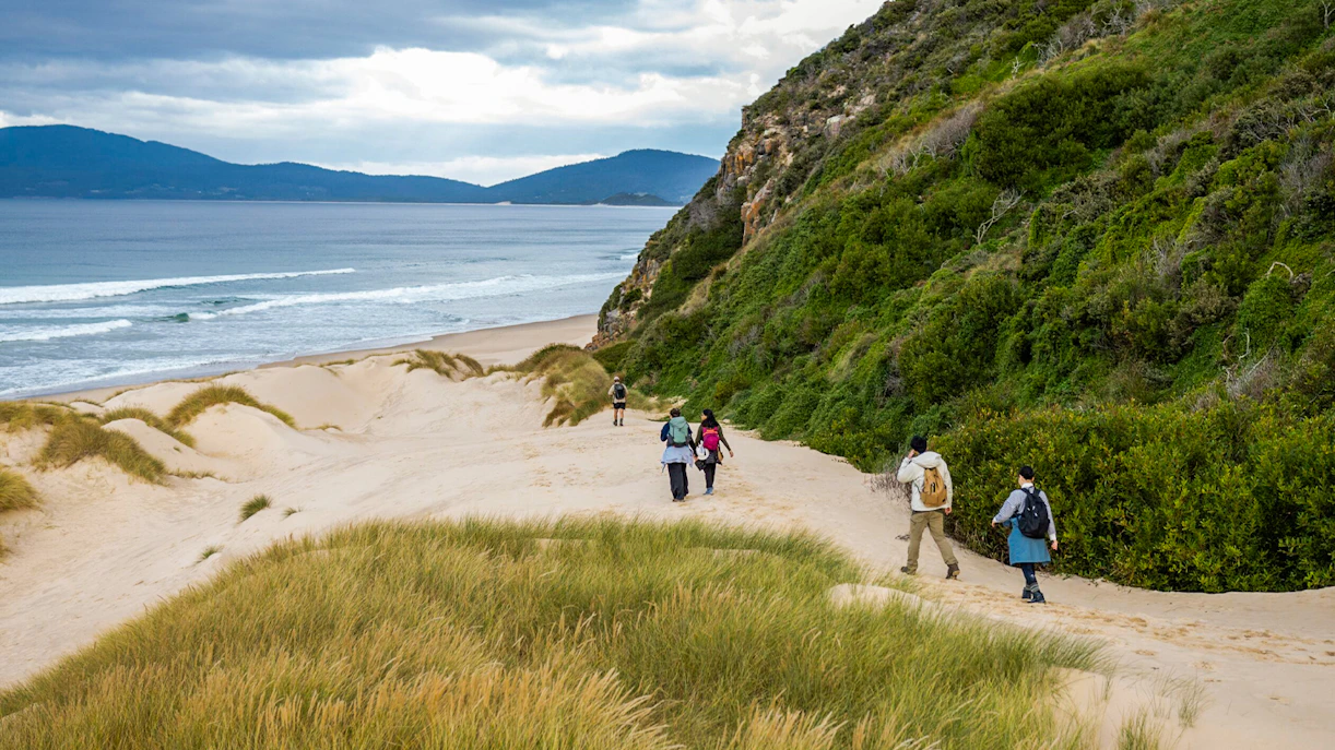 Tourists walking along Bruny Island coastal trail with ocean and greenery.