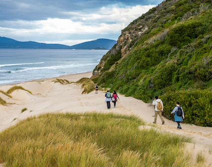 Tourists walking along Bruny Island coastal trail with ocean and greenery.