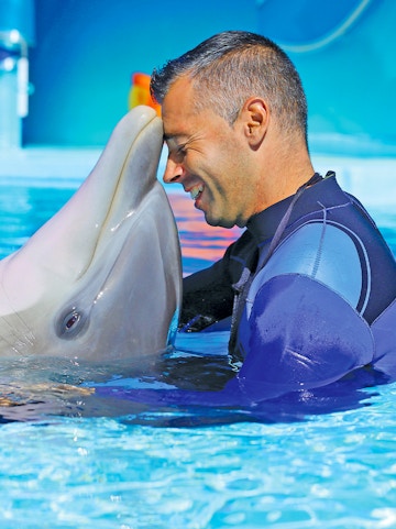 Man interacting with a dolphin at Zoomarine water park.