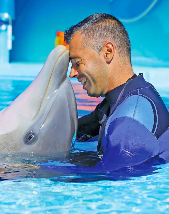 Man interacting with a dolphin at Zoomarine water park.
