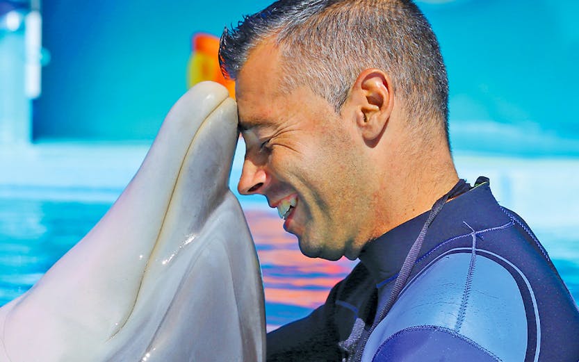 Man interacting with a dolphin at Zoomarine water park.