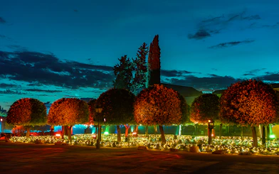 Alcazar of Cordoba garden illuminated at night with trees and decorative lights.