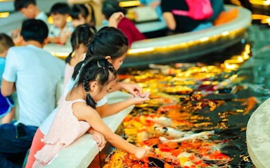 Ho Chi Minh City Hidden Cafes & Koi Fish Cafe Walking Tour With 2 Drinks