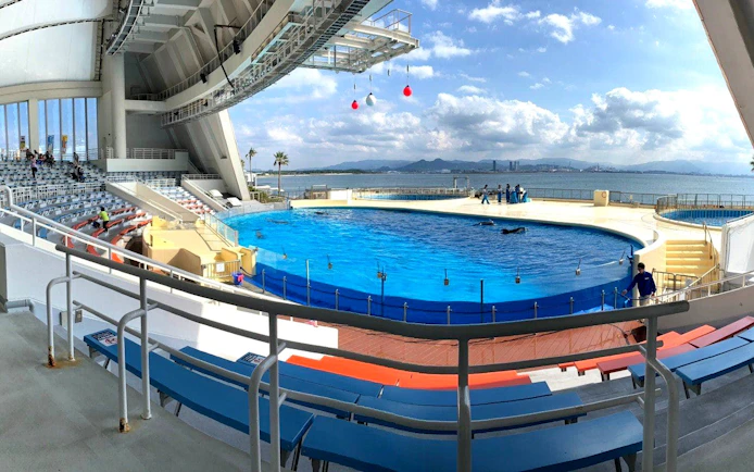 Outdoor dolphin show arena at Marine World Fukuoka with ocean view.