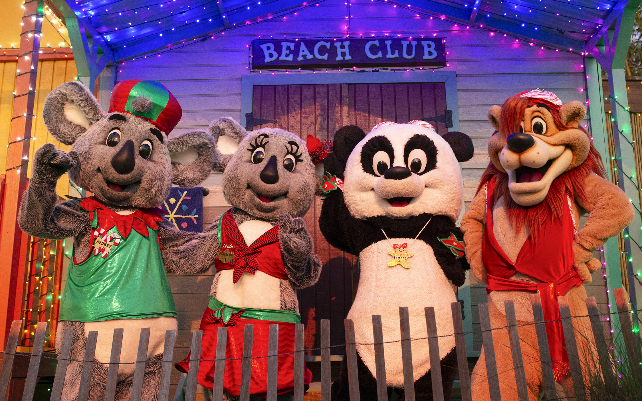 Costumed characters at San Diego Zoo's Beach Club, featuring koalas and a panda.