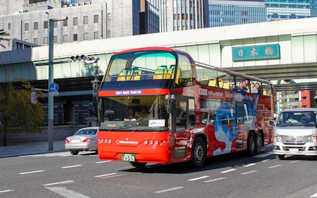 Sky Hop Bus: Tokyo Hop-On Hop-Off Bus Tour