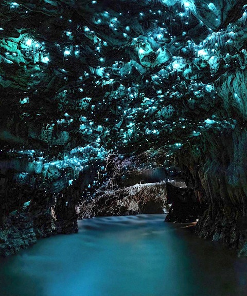 Glowworms illuminate Waitomo Caves' ceiling, casting a blue glow over the water on an Auckland tour.