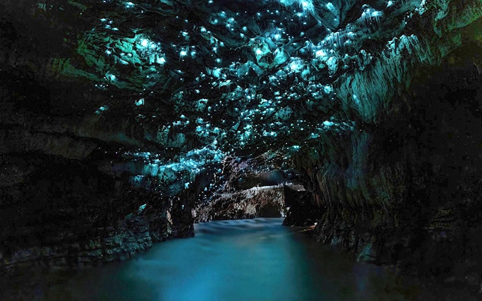Glowworms illuminate Waitomo Caves' ceiling, casting a blue glow over the water on an Auckland tour.