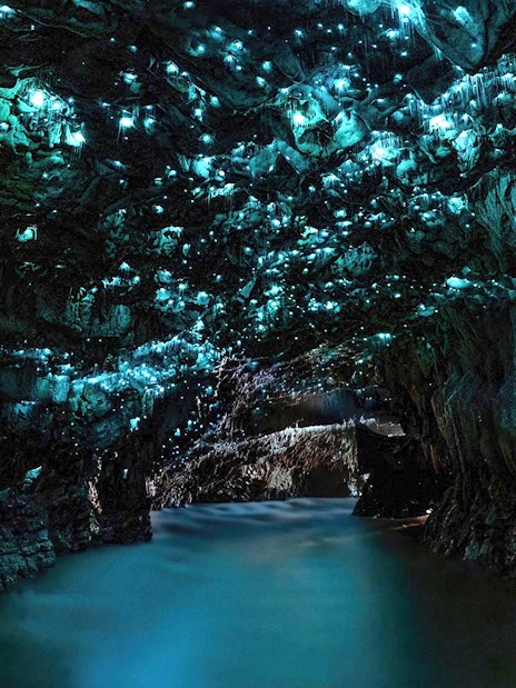 Glowworms illuminate Waitomo Caves' ceiling, casting a blue glow over the water on an Auckland tour.