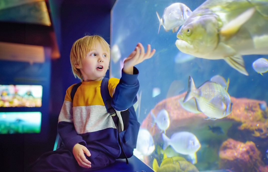 Peak season vs low season