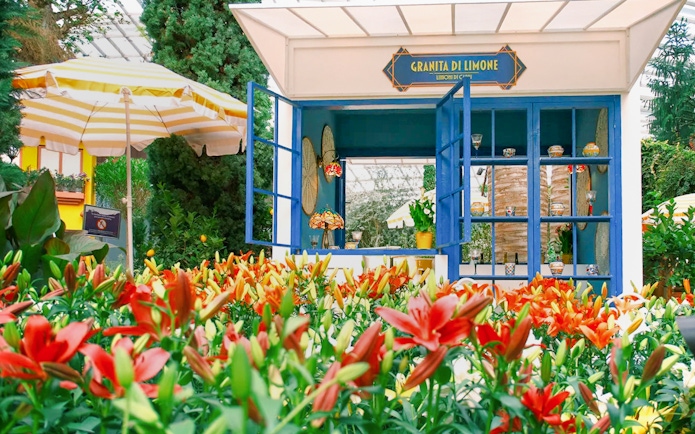 Lily flowers in bloom at Gardens by the Bay 2025 Floral Display, Lilytopia, with a lemon stand.