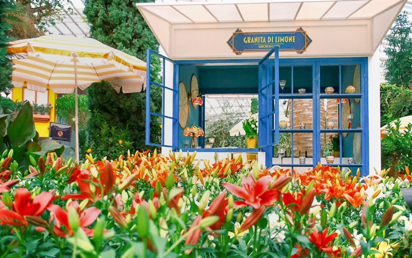 Lily flowers in bloom at Gardens by the Bay 2025 Floral Display, Lilytopia, with a lemon stand.