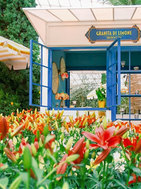 Lily flowers in bloom at Gardens by the Bay 2025 Floral Display, Lilytopia, with a lemon stand.