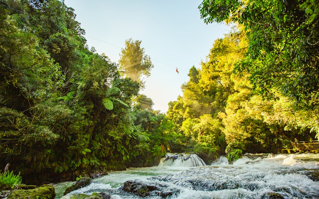 Person ziplining over lush forest and river in Rotorua, New Zealand.