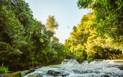 Person ziplining over lush forest and river in Rotorua, New Zealand.