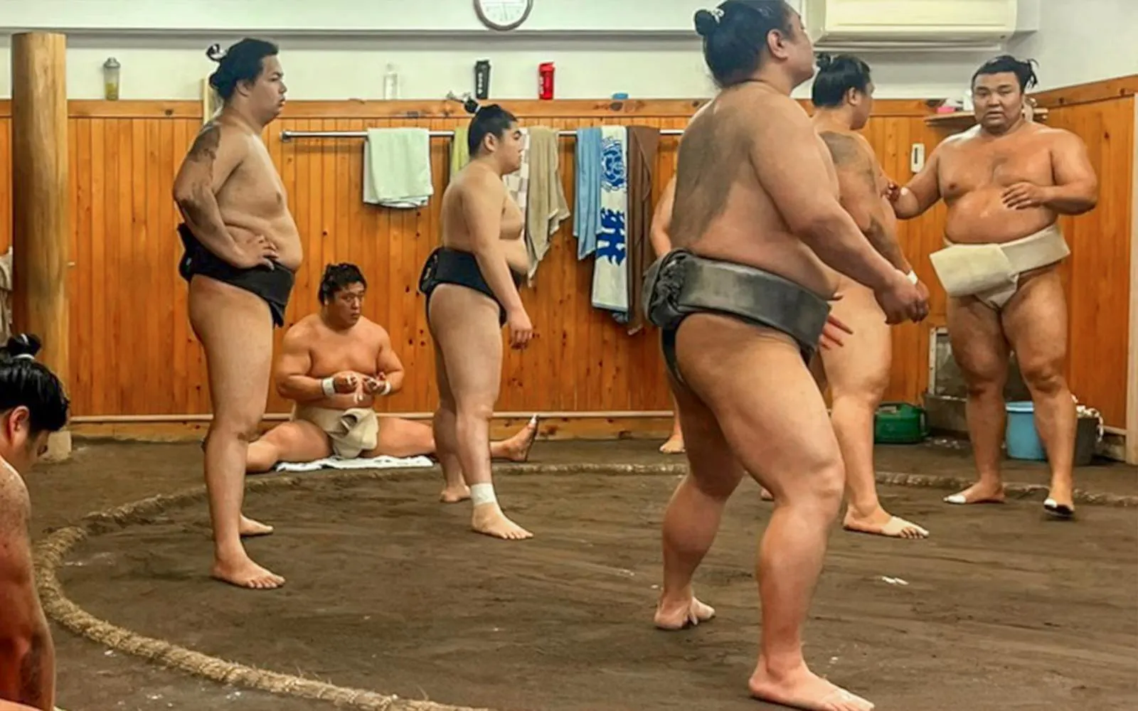 Tokyo Highlights Tour: Sumo, Sushi, Tea, Temples and Tokyo Tower