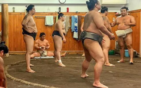 Sumo wrestlers practicing in a Tokyo training room.