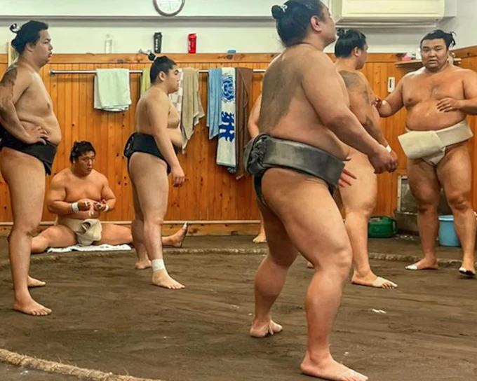 Tokyo Highlights Tour: Sumo, Sushi, Tea, Temples and Tokyo Tower