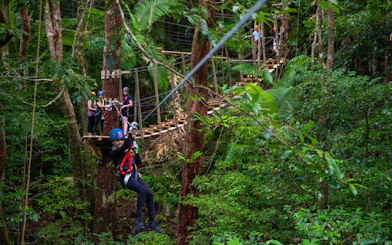 Person ziplining through Daintree Rainforest with others waiting on a platform.