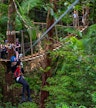 Canopy zipline course