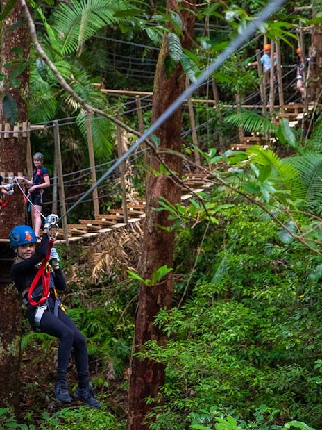 Person ziplining through Daintree Rainforest with others waiting on a platform.