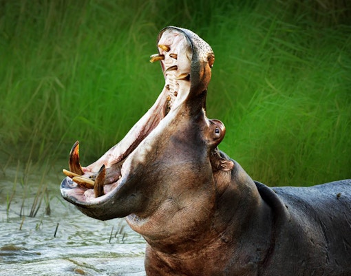 Payah Indah Discovery Wetlands