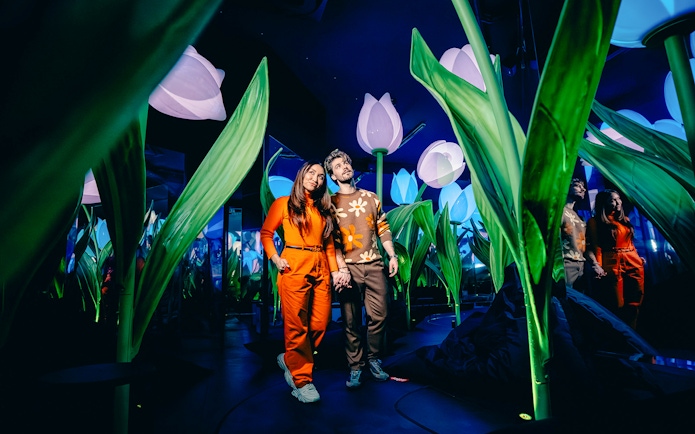 Guests walking through illuminated tulip exhibit in Highlights of Holland experience.